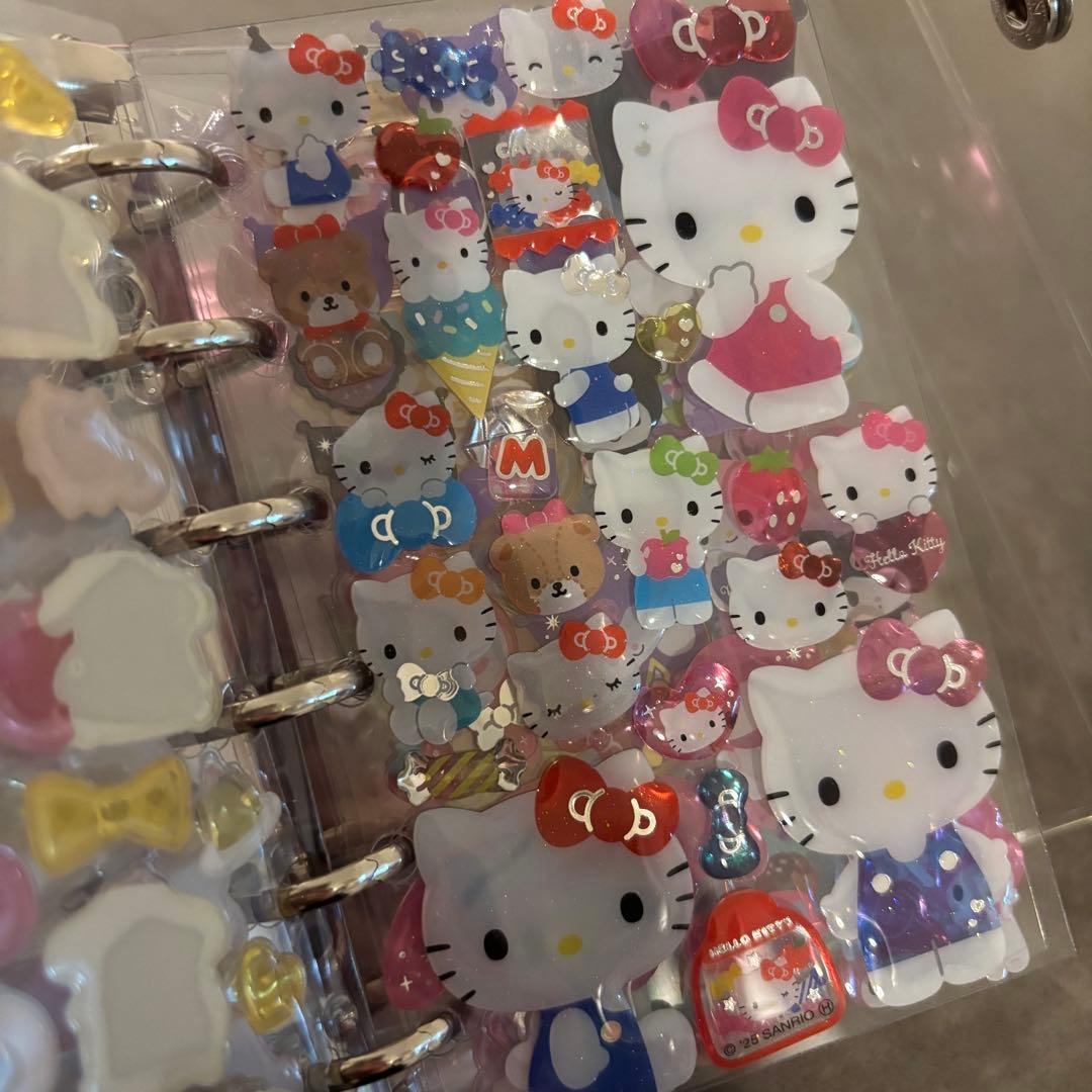 国内正規品のみ☺︎サンリオシール帳完成品