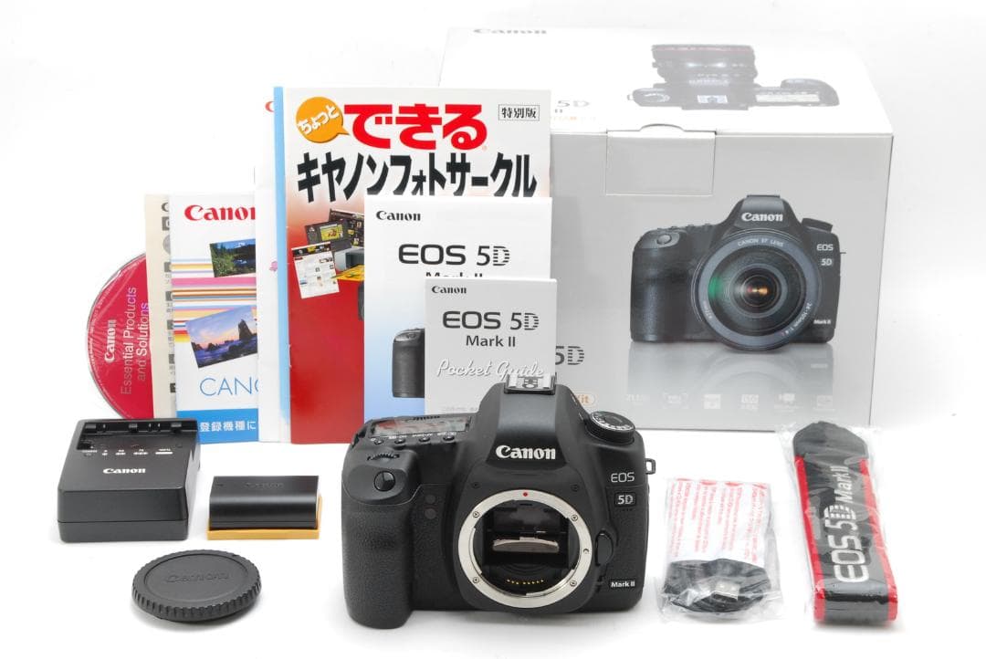 【ショット数5805 美品】Canon EOS 5D Mark II #233