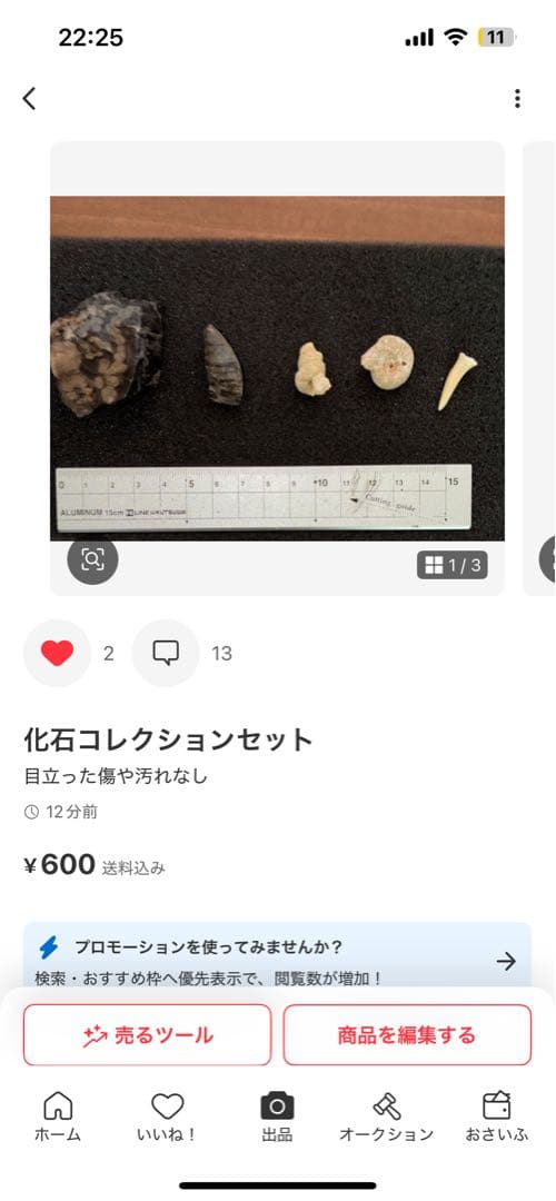 ひでさん　化石セット