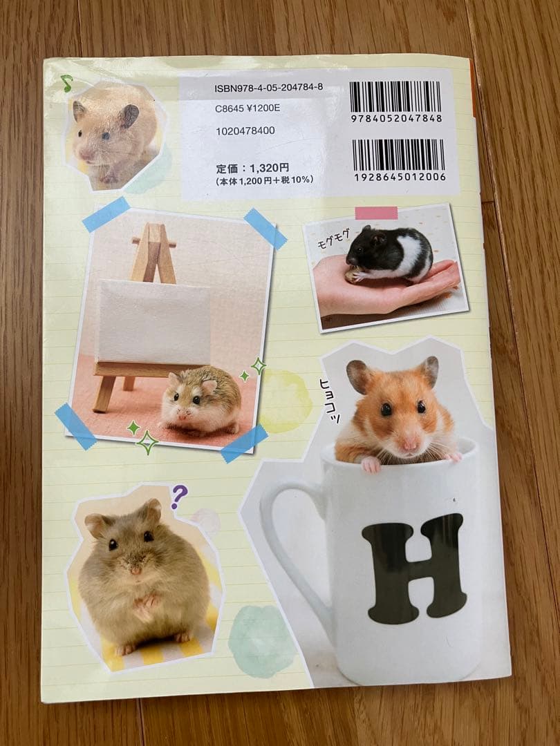 SANKOルーミィー60グランスペースクリア　その他飼育セットあり