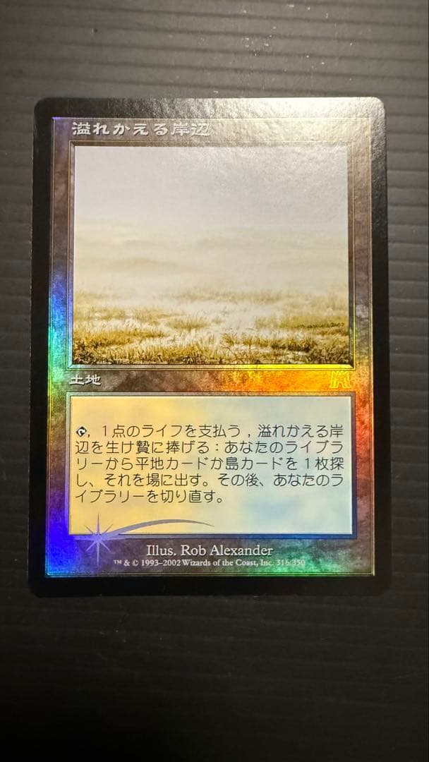 溢れかえる岸辺 日本語版