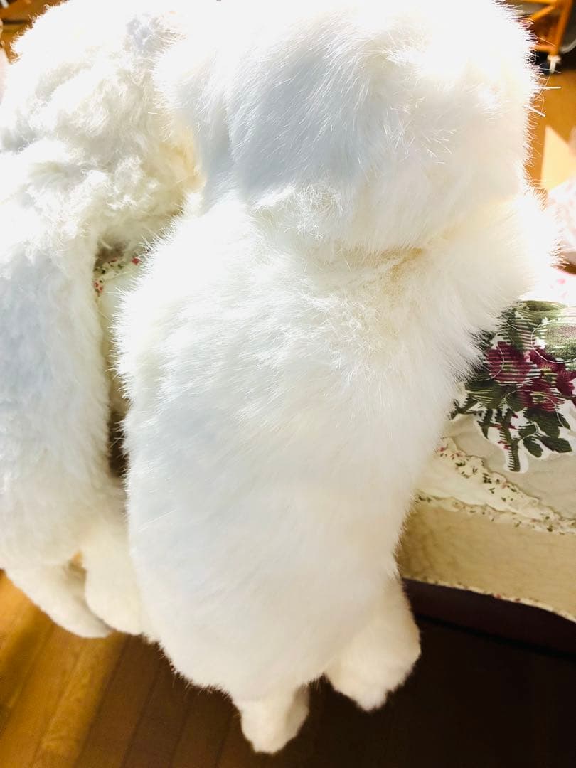 昭和レトロ オオイケ ペルシャ猫のボビー ぬいぐるみ