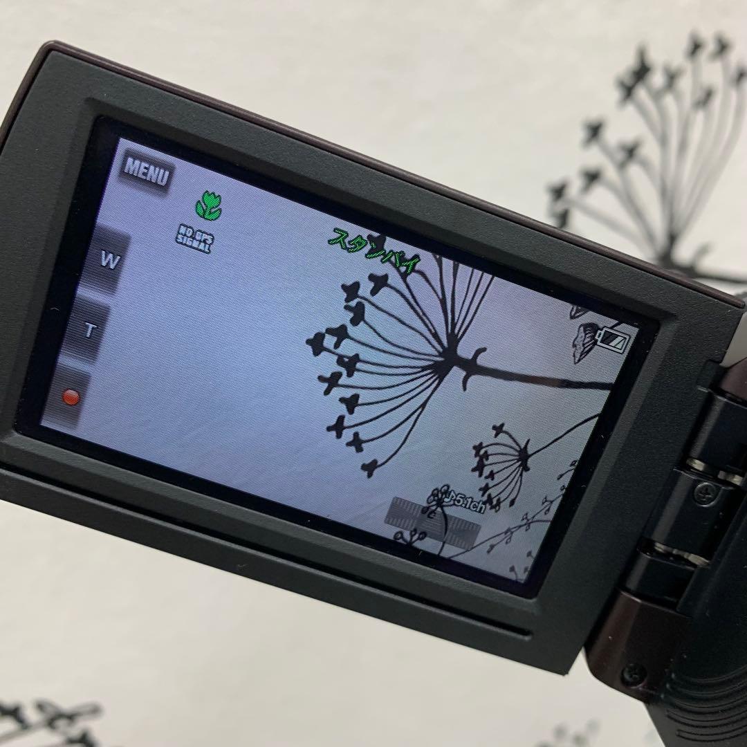 【動作確認済み】SONY　Handycam　HDR-CX430V 13年製