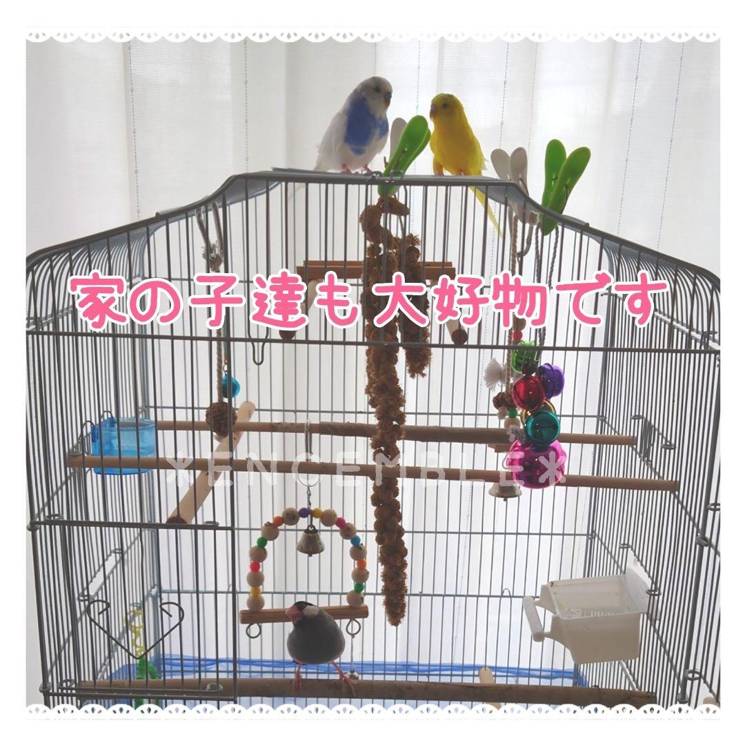 オーダー専用【北海道産】赤粟の穂 250g 無農薬