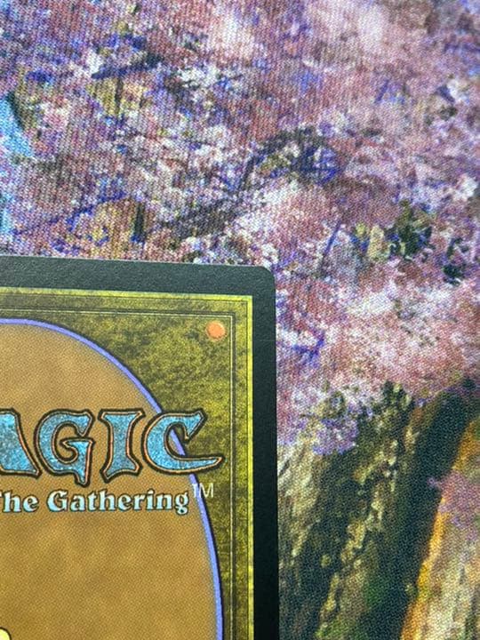 MTG Slivdrazi Monstrosity エンブレムあり　美品