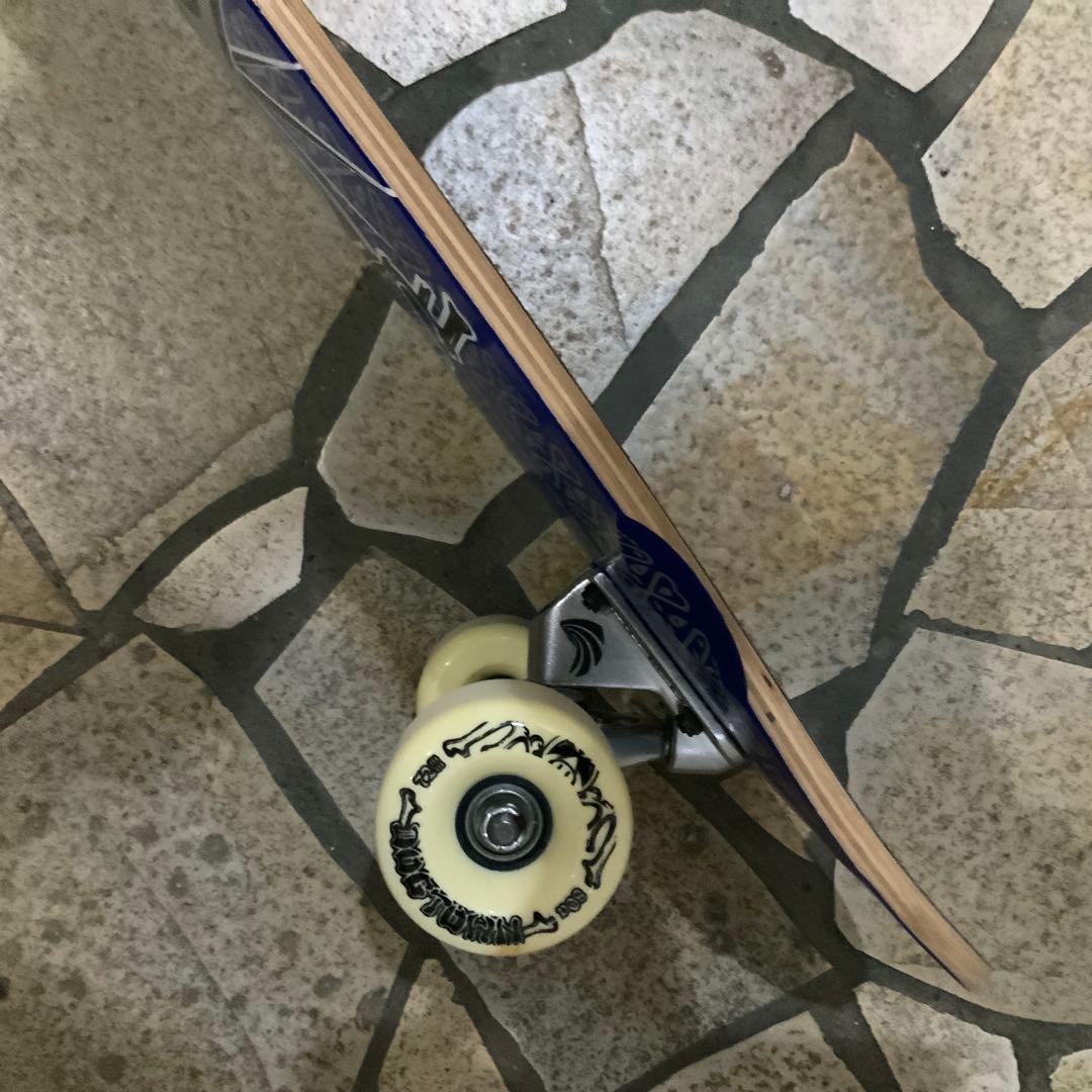 DOGTOWN ドックタウンスーサイダルスケート　DTS コンプリート90年代