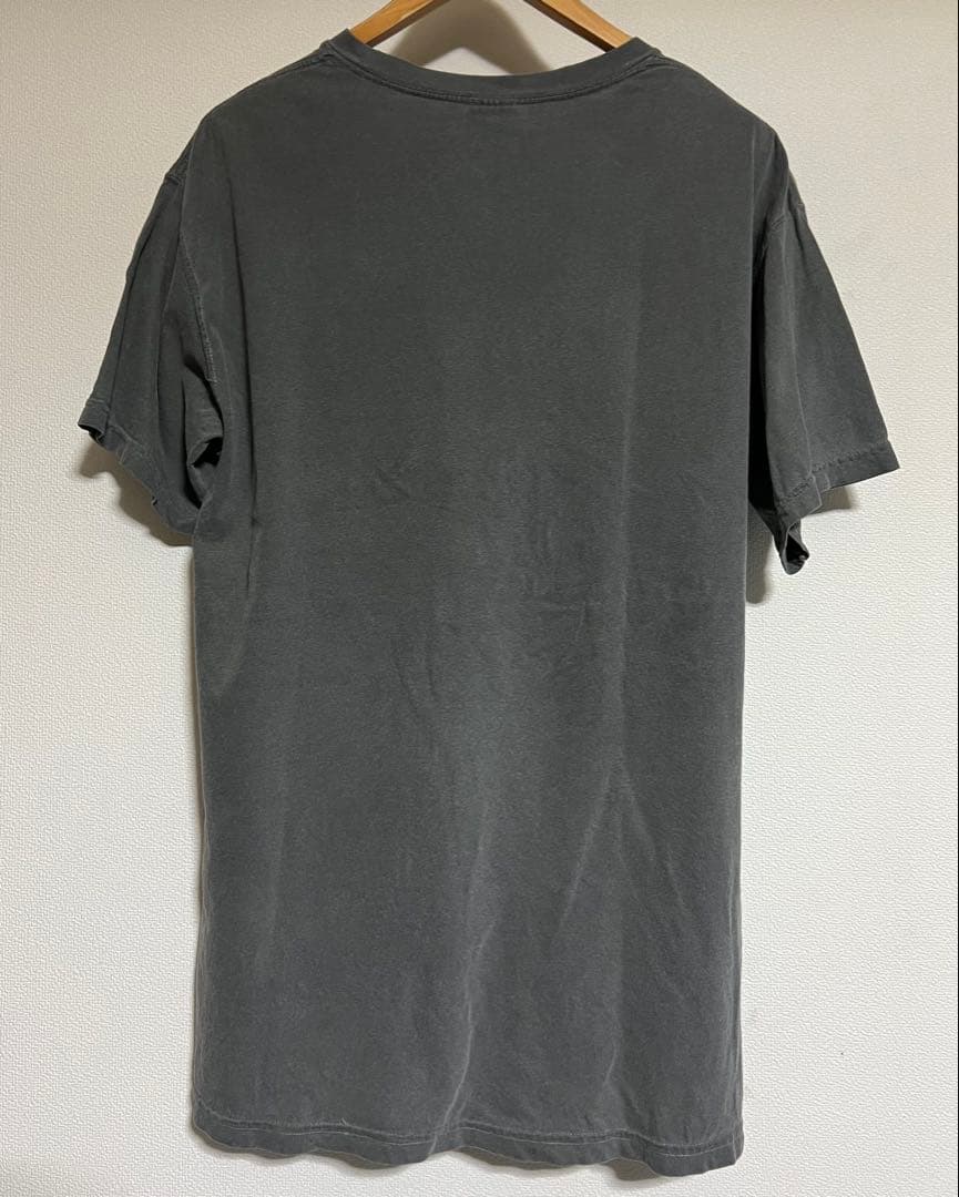 LISTEN TO THE GERMS Tシャツ Comfort Colors