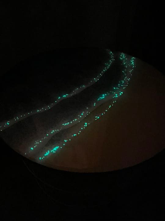 【レジンオーシャンアート】#４８