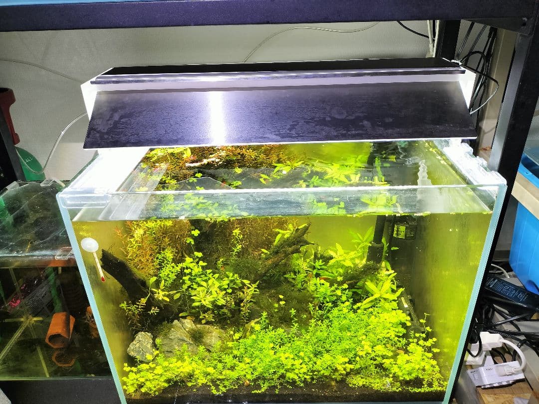 【ADA アクアスカイムーン 60cm LEDライト】反射板付き・動作良好