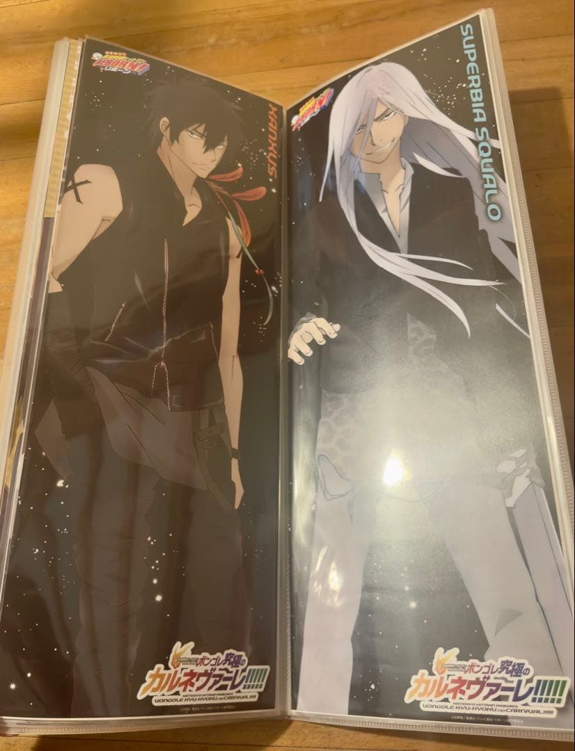 リボーン キャラポス 収納ファイル ポスター 32枚 美品