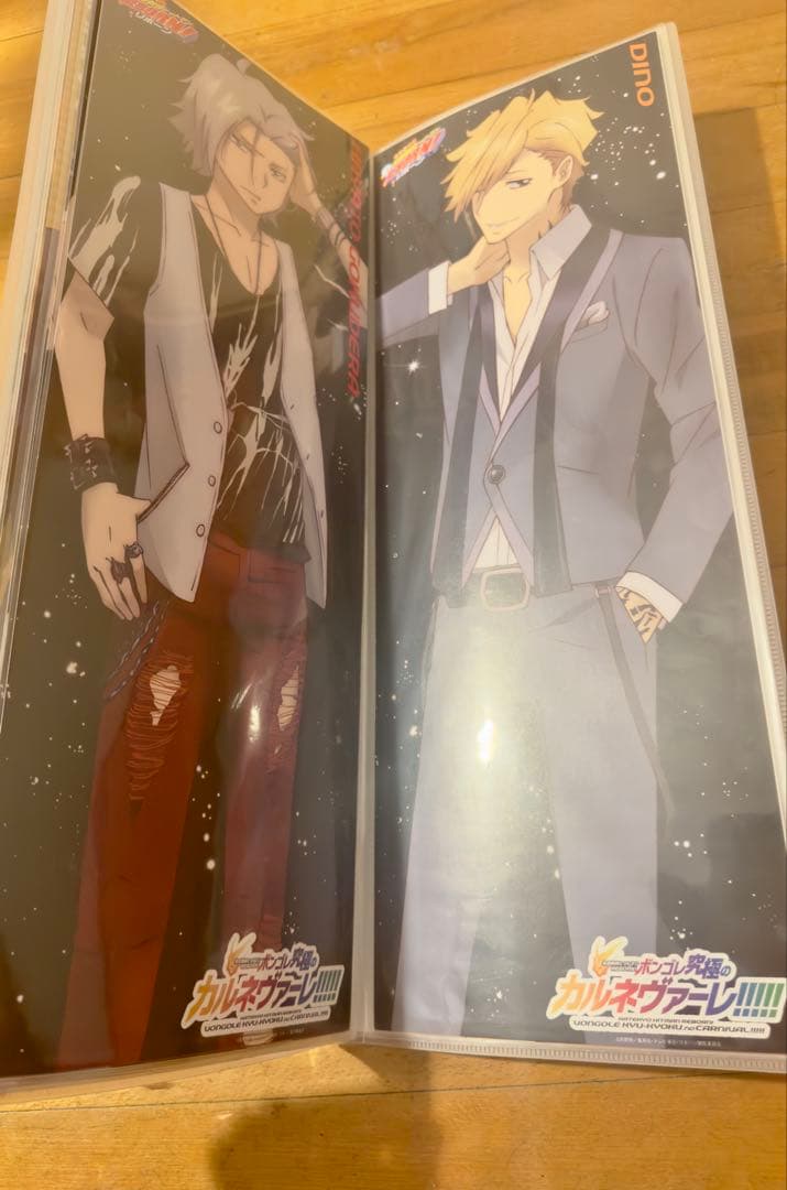 リボーン キャラポス 収納ファイル ポスター 32枚 美品