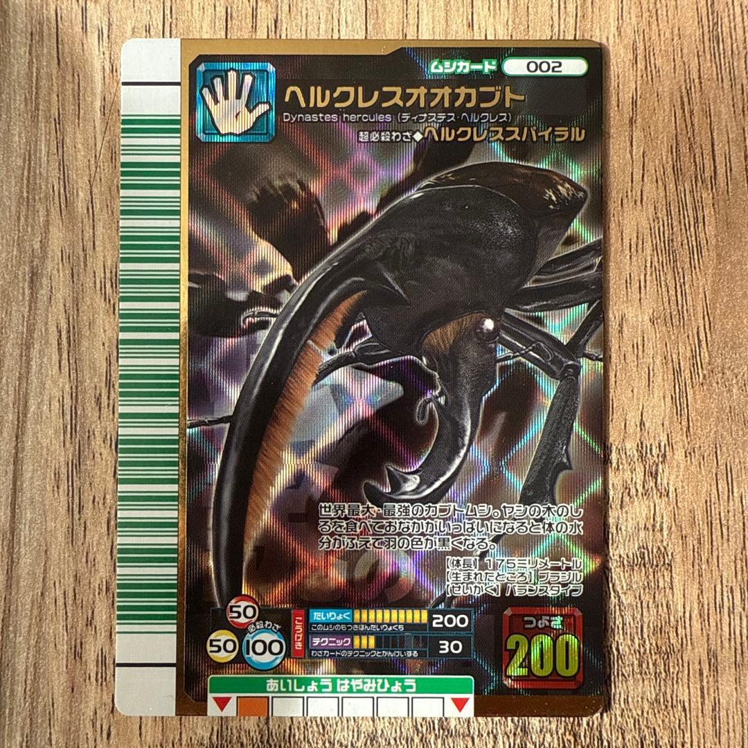 ヘルクレスオオカブト 2007 ファースト　黒羽