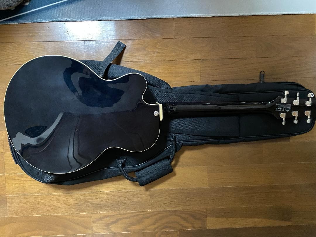 VOX GIULIETTA VGA-3D（アーム付）ソフトケースマニュアル 付属