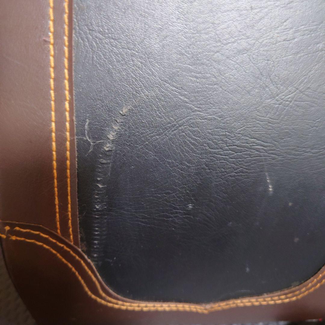 ニ胡 弦楽器 付属品多数　弓３本 中国 彫刻 ケース付き 現状販売