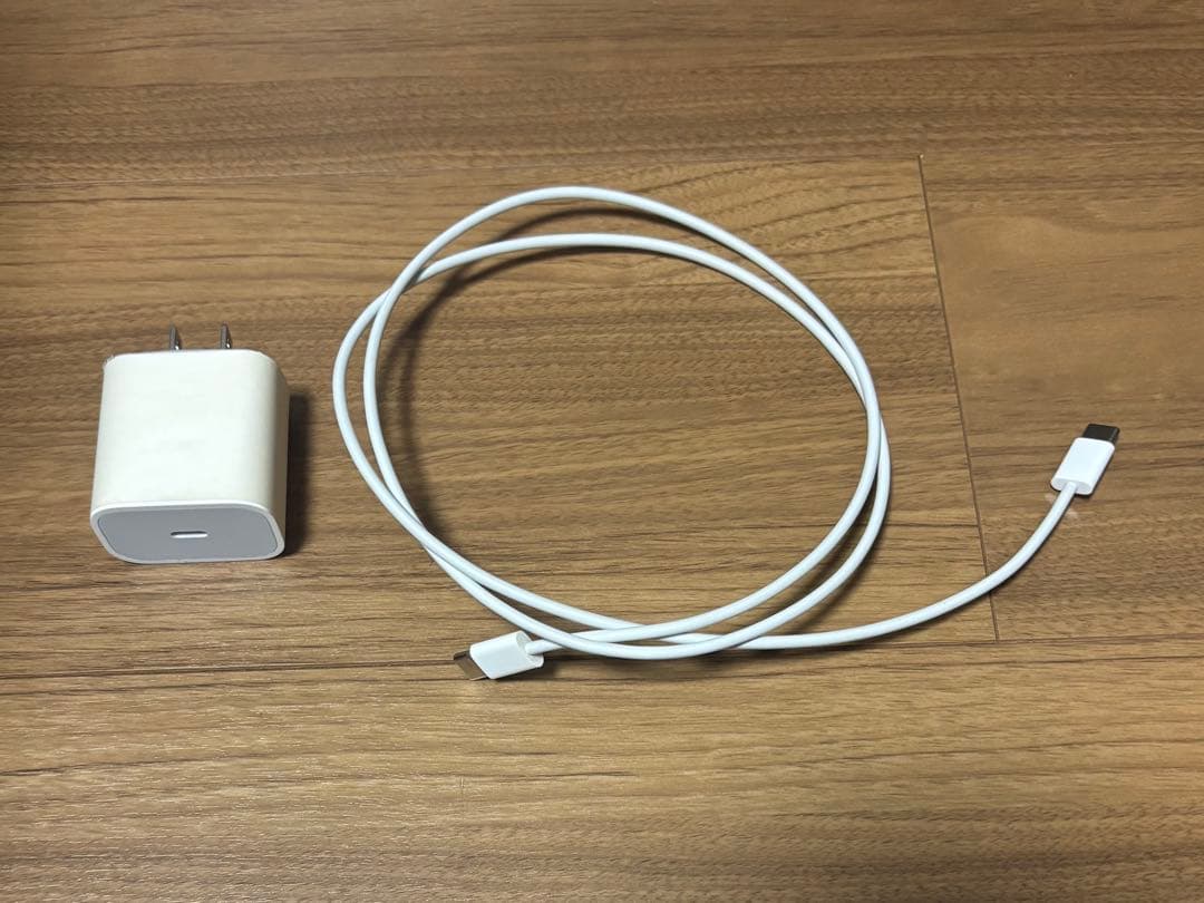 iPad Pro 第2世代 11インチ WiFiモデル 256GB(おまけ付き)