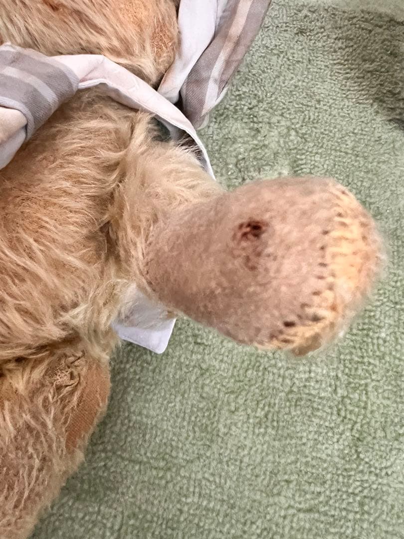 アンティークテディベア