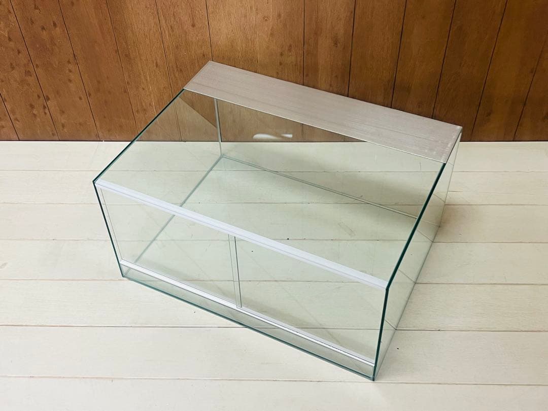 一点限定　パルダリウム水槽600×445x300㎜クリプト・ブゼファランド等に