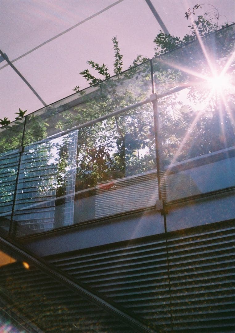 【動作確認・清掃済み＊試写あり】カメラケース付き！リコーオートハーフE