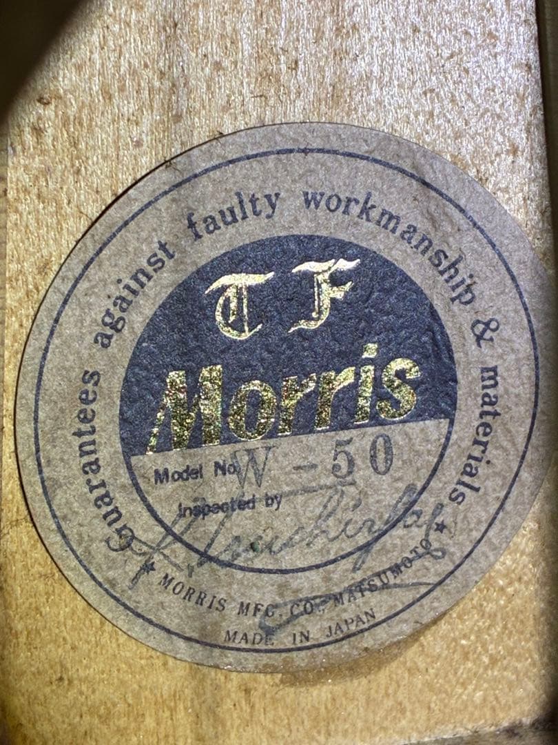 Morris W-50 アコースティックギター