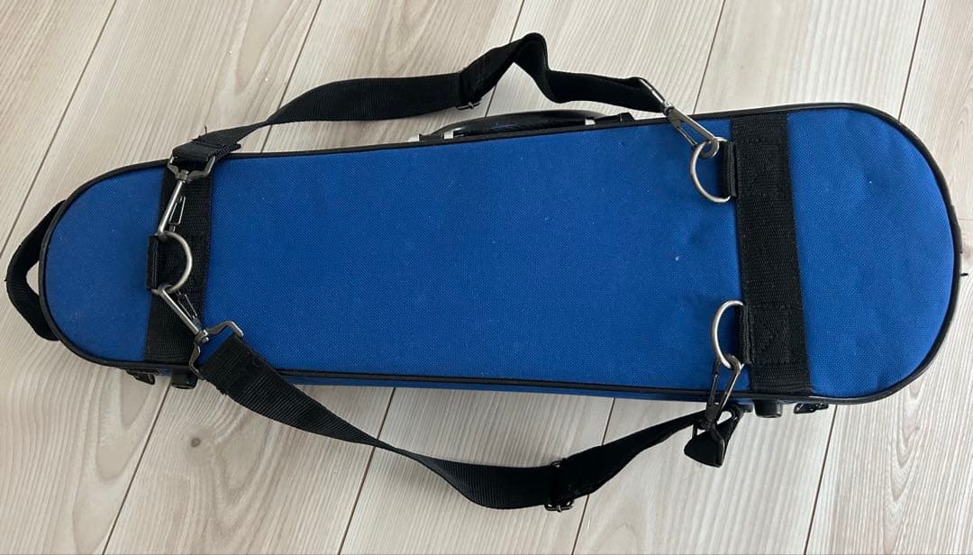 バイオリン・Carlo giordano・ケース付・1/10