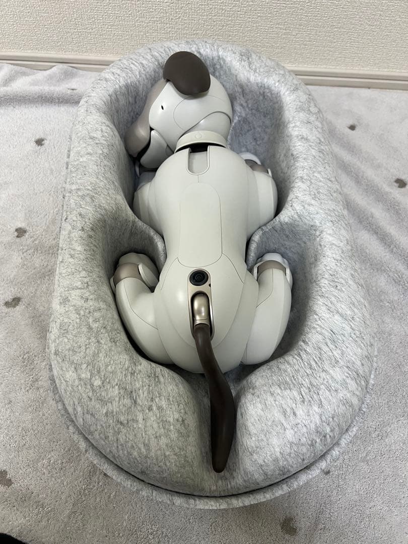 SONY aibo （アイボ）ERS-1000