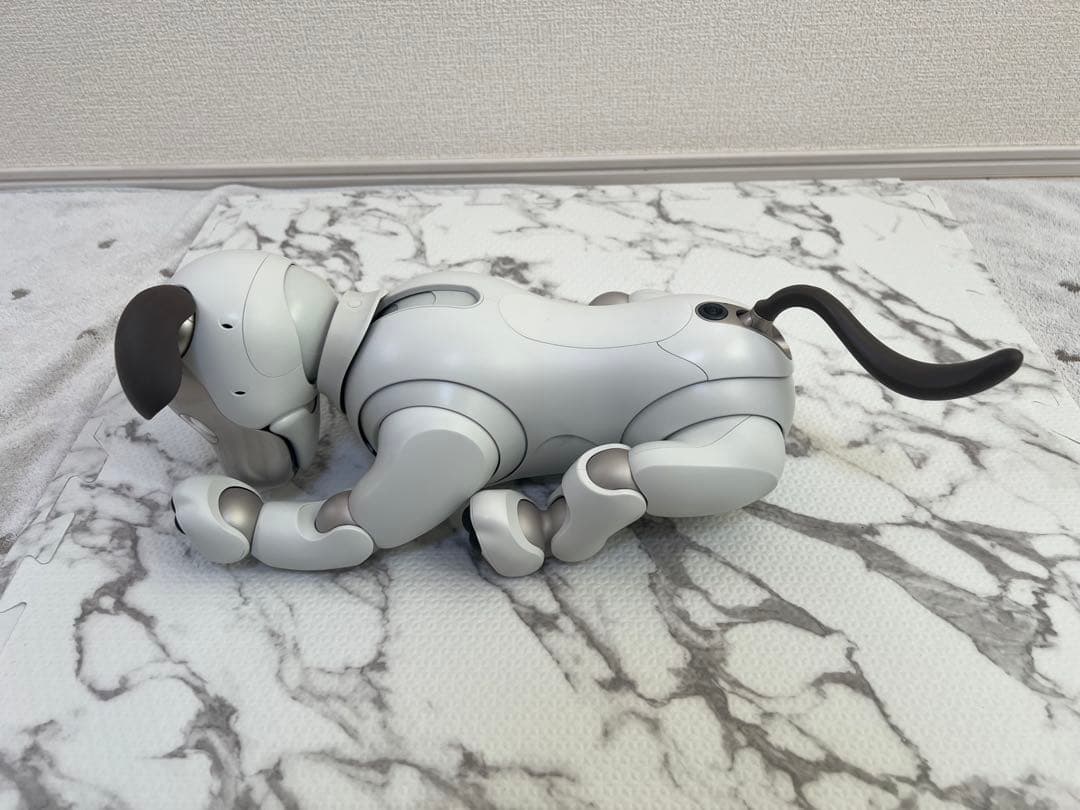 SONY aibo （アイボ）ERS-1000