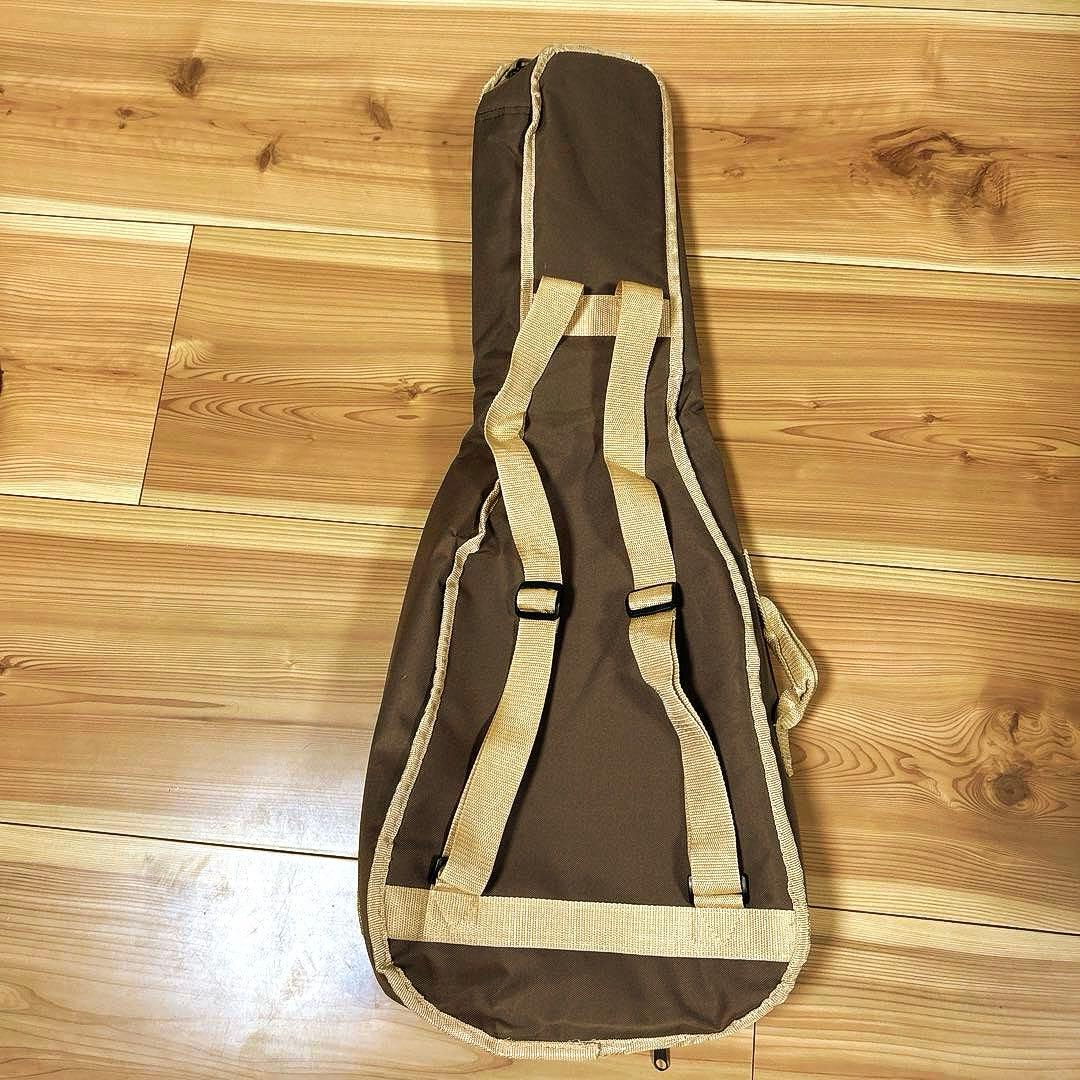 ギター cort Earth MINI