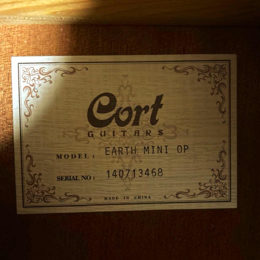 ギター cort Earth MINI