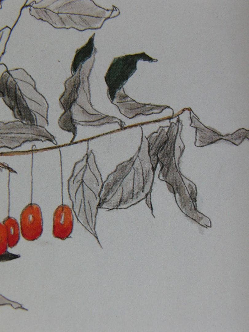 斎藤清、「想出　グミ」、希少な画集の額装画、オーダーマット付・日本製新品額入り