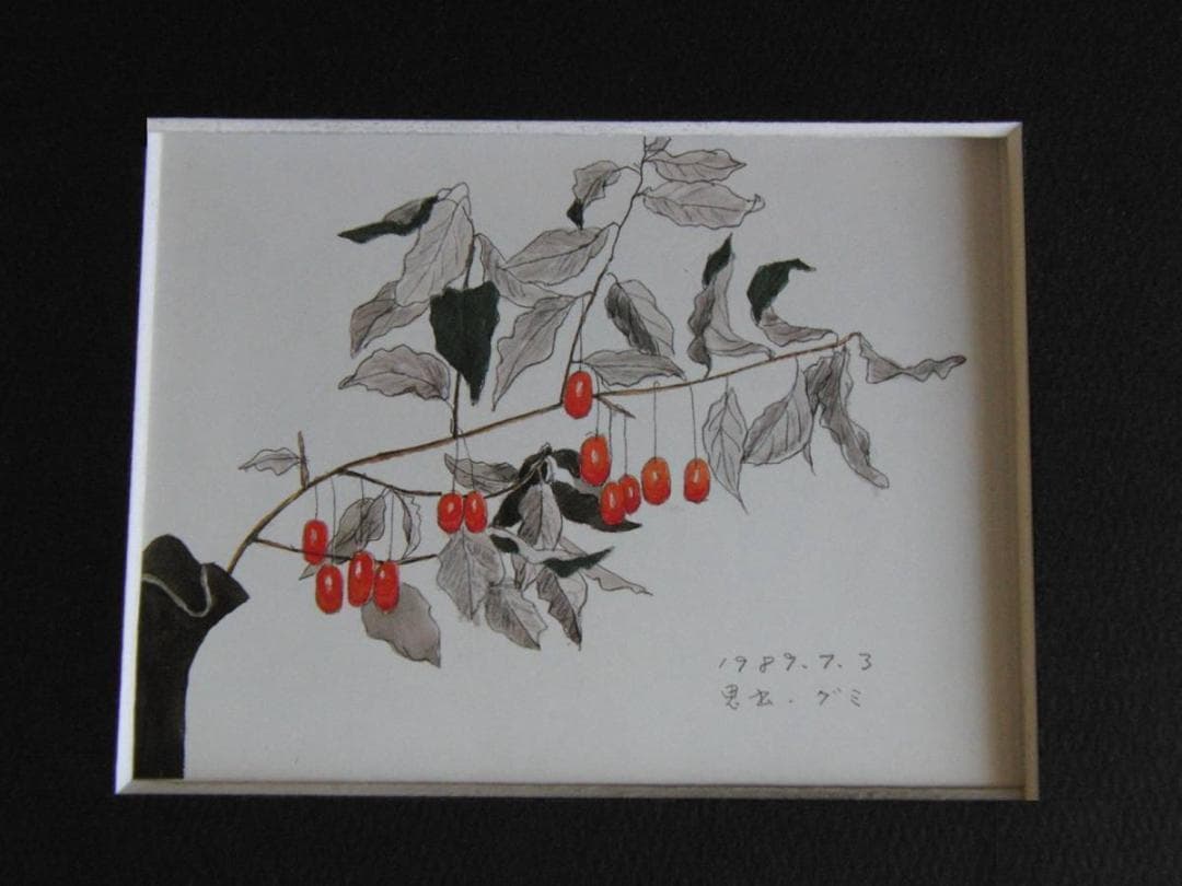 斎藤清、「想出　グミ」、希少な画集の額装画、オーダーマット付・日本製新品額入り