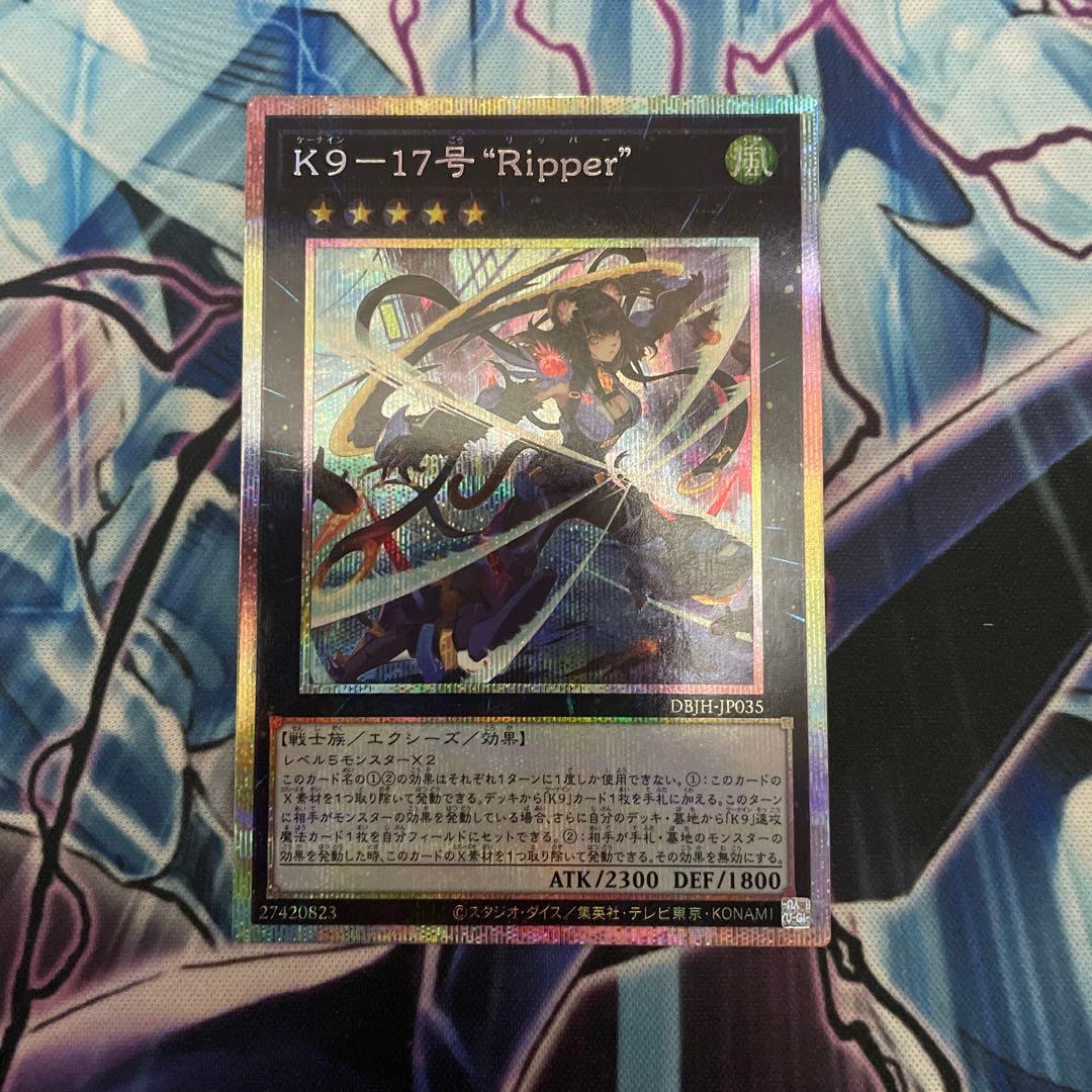 【最安値】K9-17号\