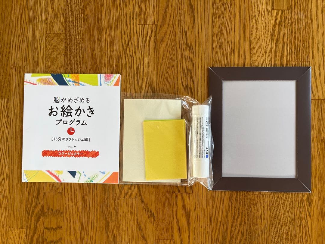 フェリシモ　脳がめざめるお絵かきプログラム［15分のリフレッシュ編］12回セット