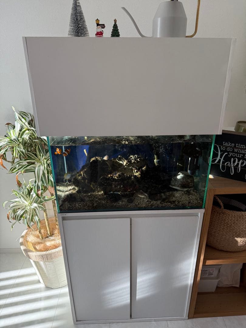 【値下げ】ガラス水槽 SET