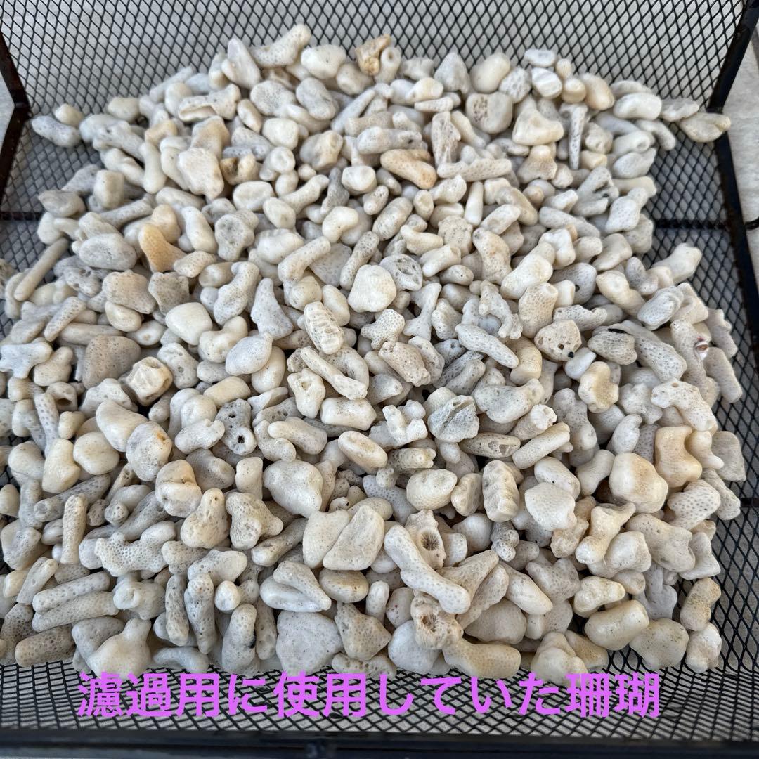 【値下げ】ガラス水槽 SET