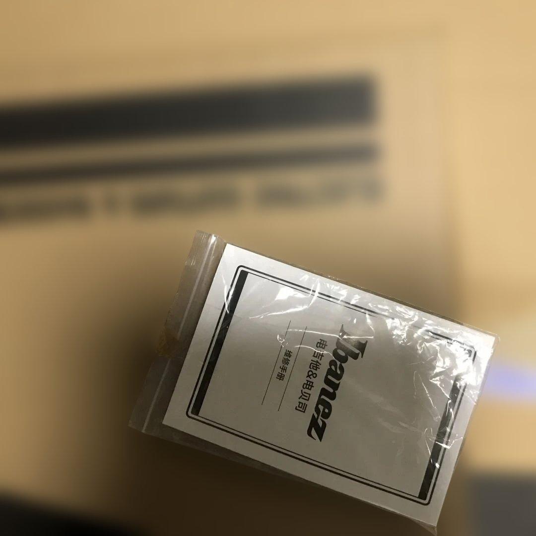 ★新品未使用 IbanezアイバニーズGIOエレキダブルロッキングトレモロ搭載