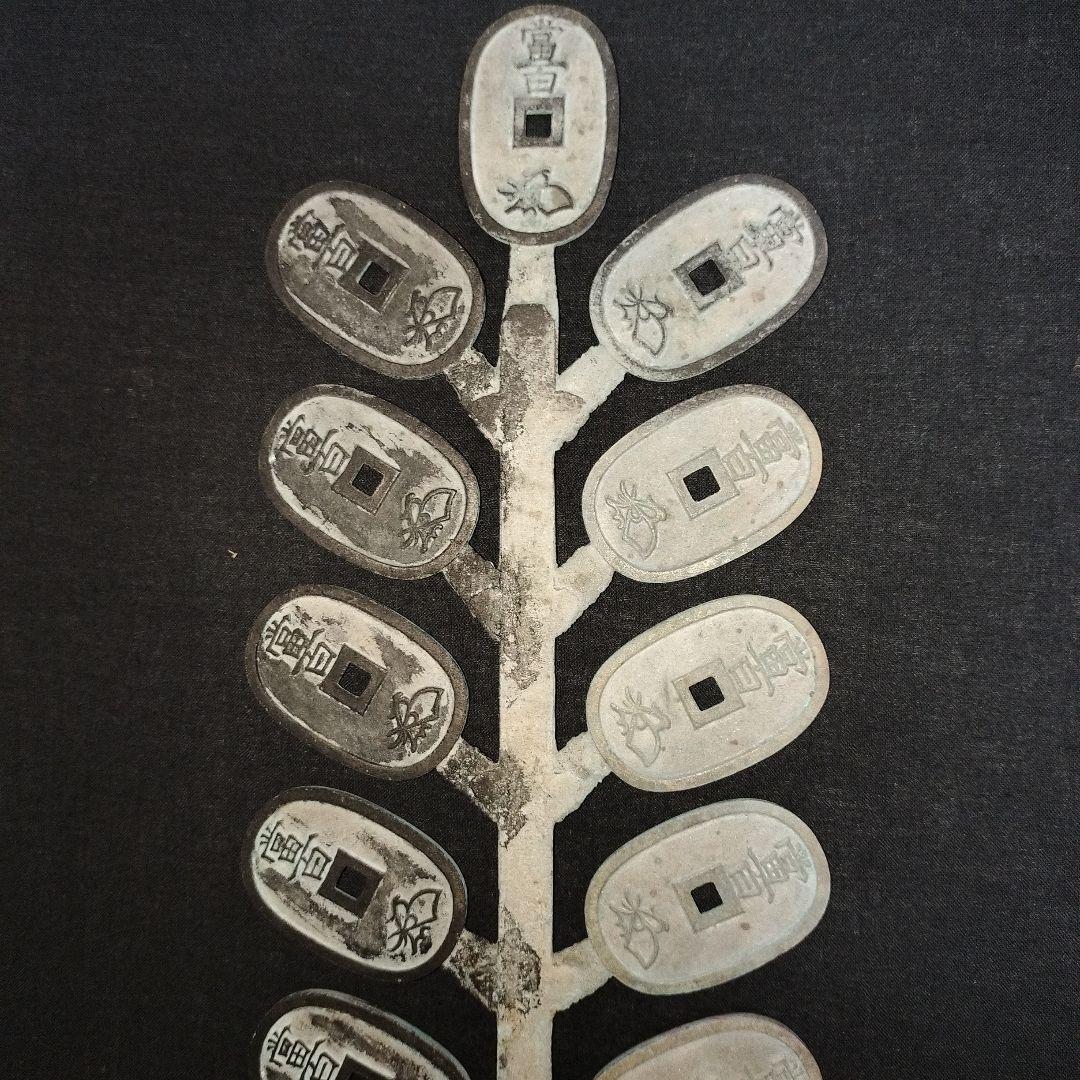 天保通宝 枝銭 15枚付き 天保銭 天保通寶