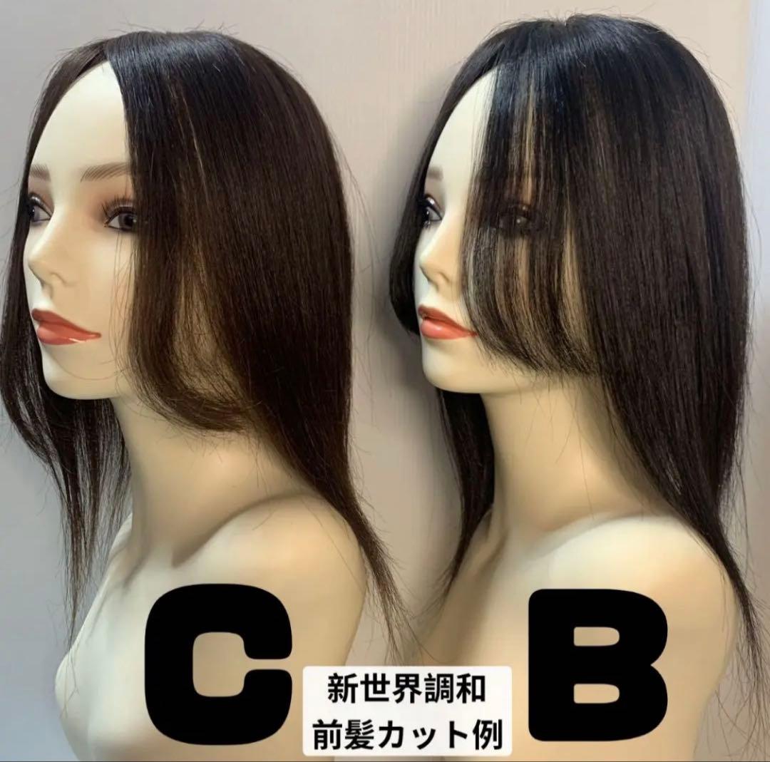 2025新世界　人毛　ウィッグ　フルウィッグ　シルクスキン　医療ウィッグ　レミー