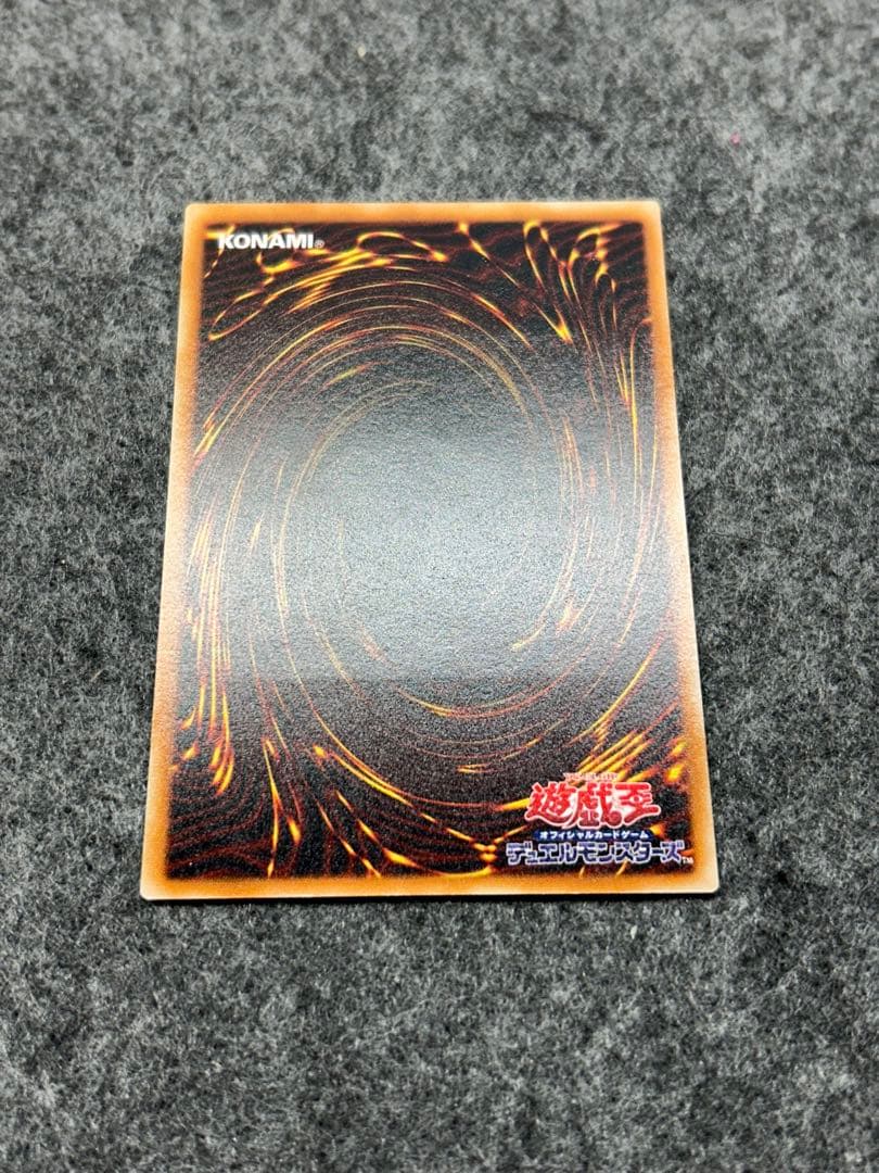 あげいん【遊戯王】真紅眼の黒竜　レリーフ　307-010【9.0/10】