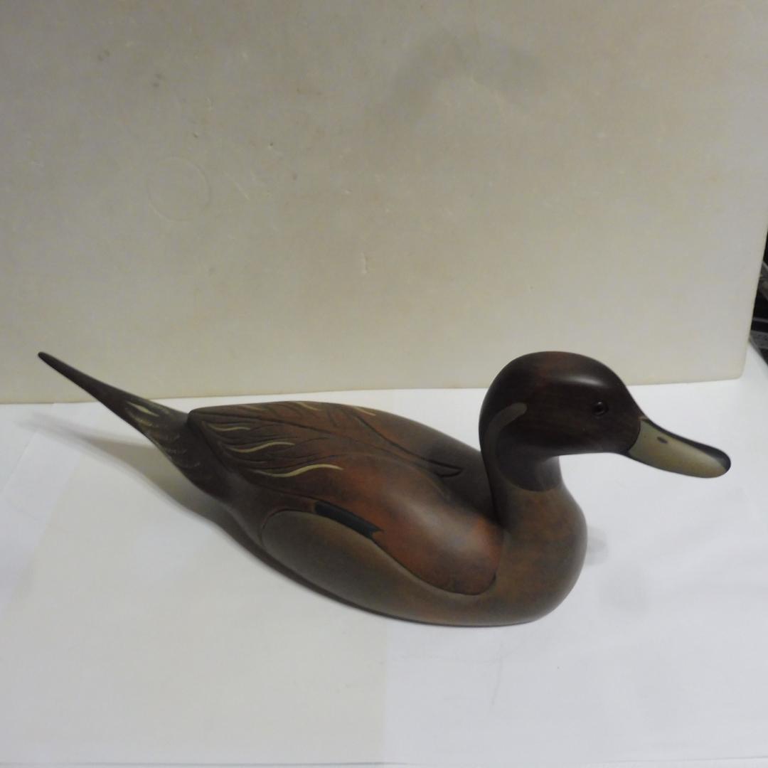 デコイ 鴨 水鳥 尾長鴨 Pintail Drakeのデコイ