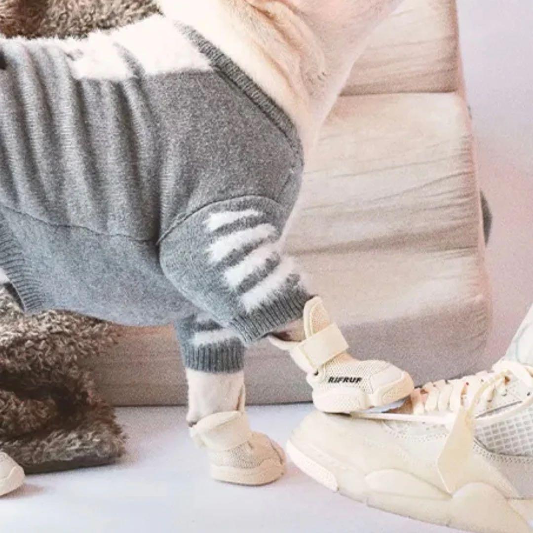 RIFRUF ドッグシューズ ベージュ