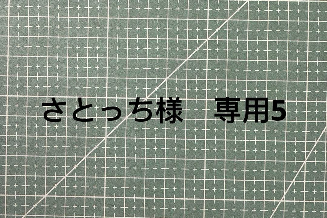 さとっち5