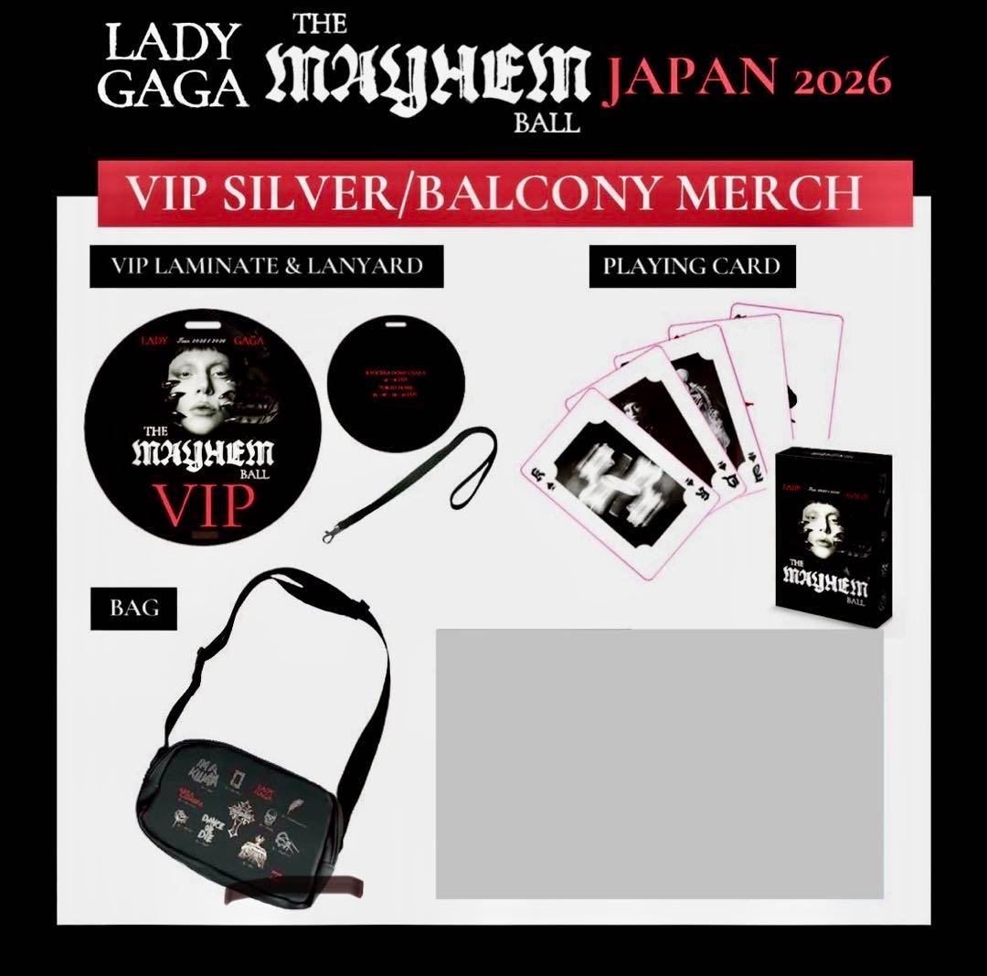 LADY GAGA VIP グッツ