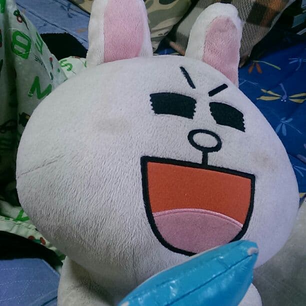 LINEコニーぬいぐるみ　スマホ見るコニー