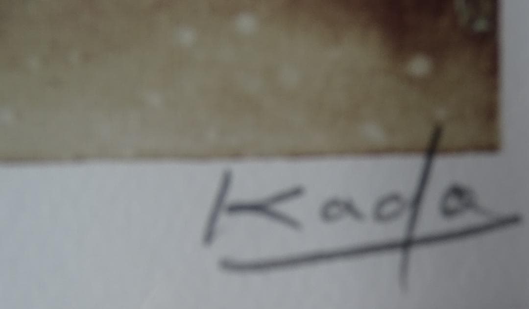 ・作者名：角　浩・画題：ドンキホーテ・技法：リトグラフ限定（125／300）