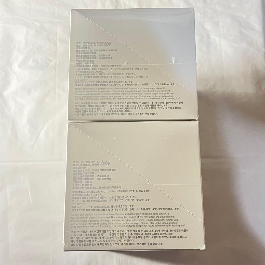 【未開封】ラブブ Big into Energy アソートボックス 正規品　2箱