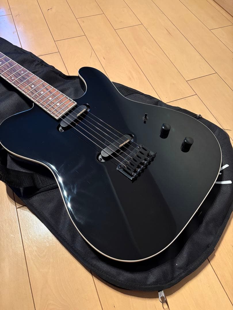 ギター Fernandes Limited EditionTEJ-STD 2S '24