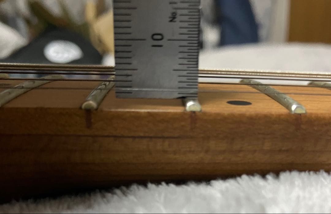 ギター EVH Wolfgang WG Standard Quilt Maple