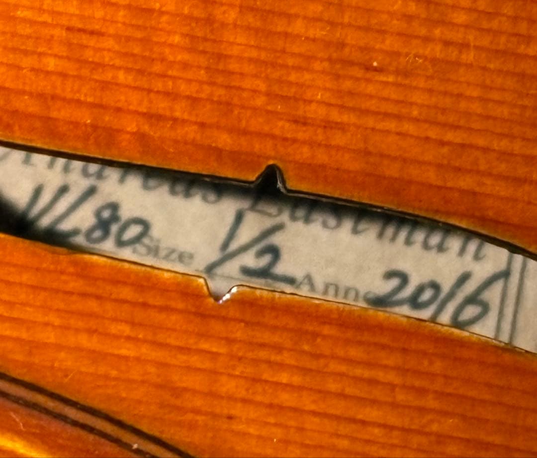 バイオリン イーストマン　本体とケース付き