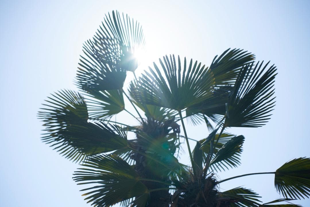 SMC PENTAX-M F1.4 /50mm KマウントL83