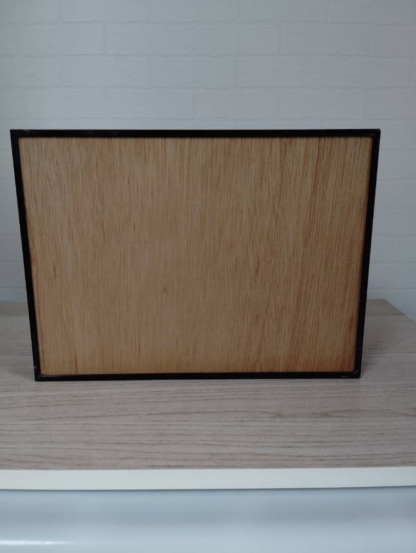 【エレファスゾウカブト】エレファス標本 昆虫　オス２匹セット